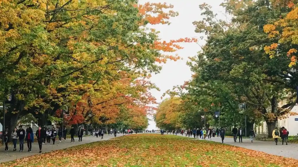 First year students coming to the college